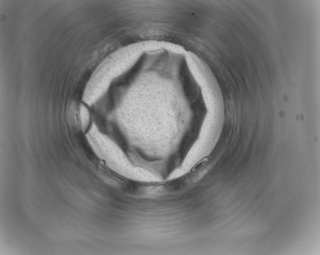 X0000077320575200611171745