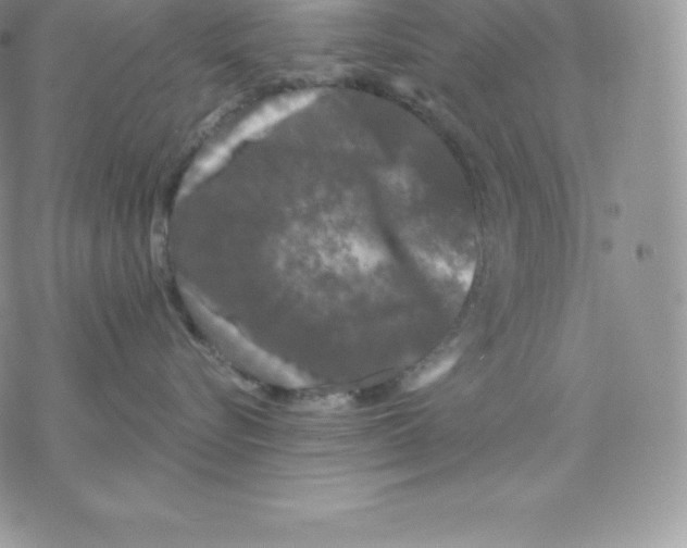 X0000077320576200611171745