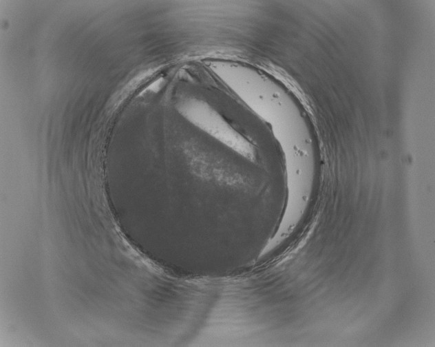 X0000077320577200611171745