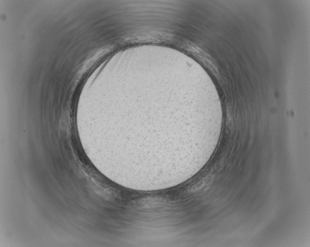 X0000077320578200611171745