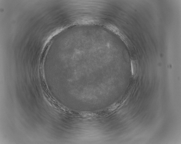 X0000077320579200611171744