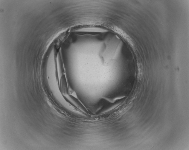 X0000077320580200611171744