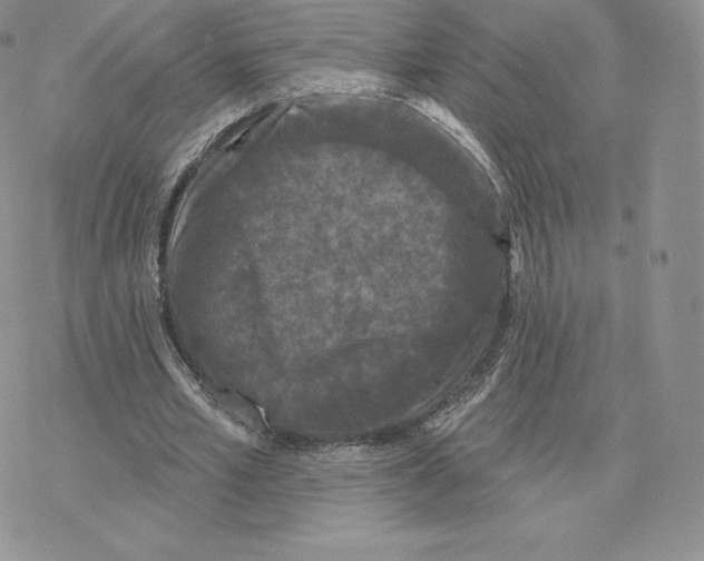 X0000077320581200611171744