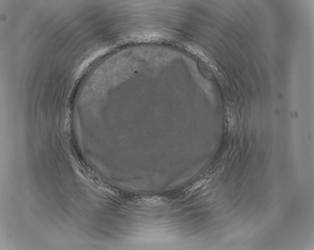 X0000077320583200611171744