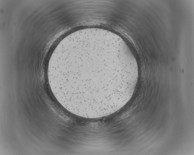 X0000077320584200611171744