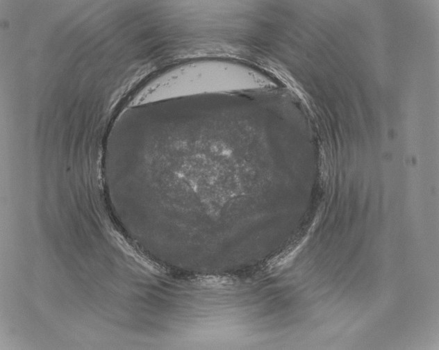 X0000077320585200611171744