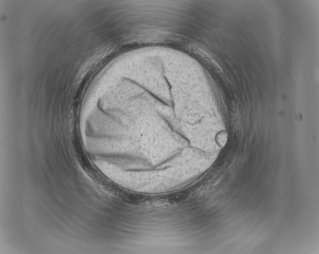 X0000077320586200611171744