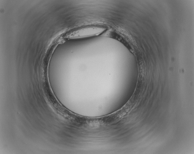 X0000077320587200611171744