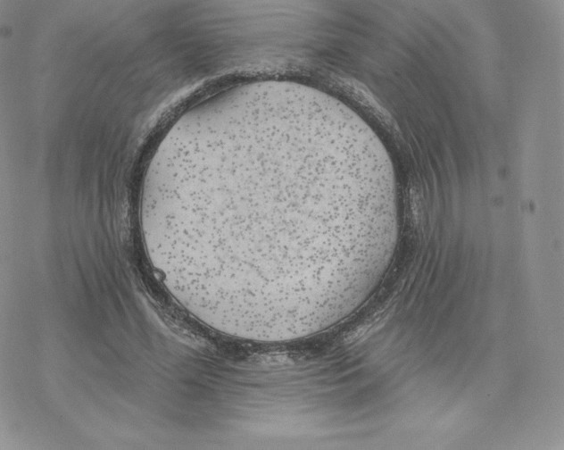 X0000077320588200611171744