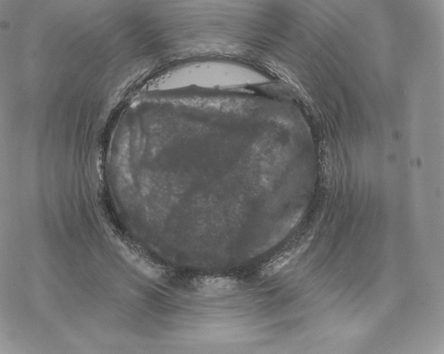 X0000077320590200611171744