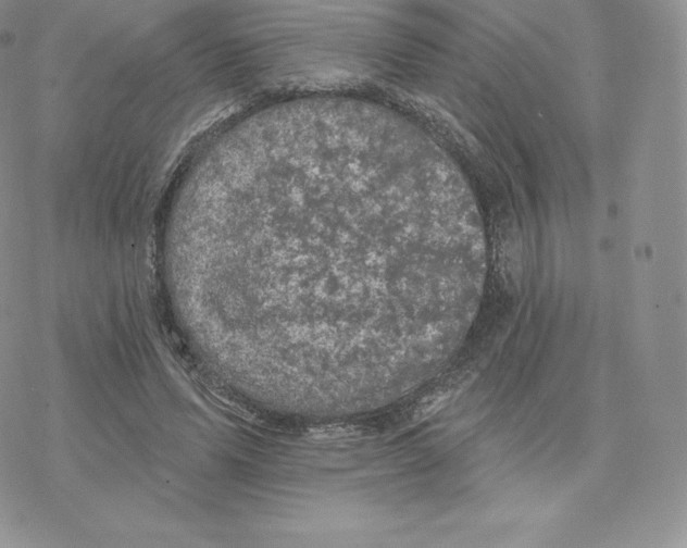 X0000077320591200611171744