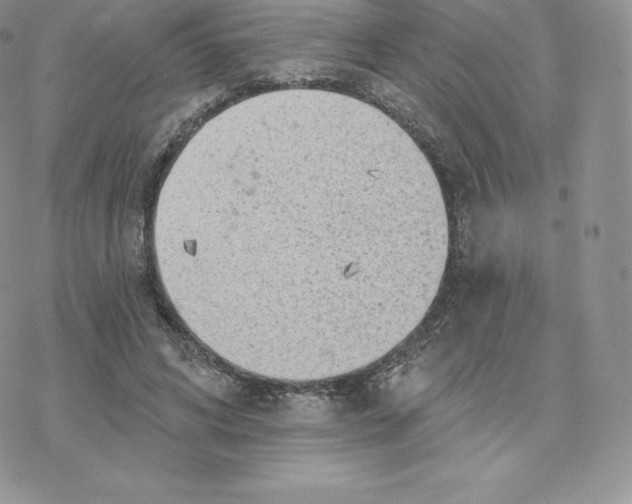 X0000077320592200611171744