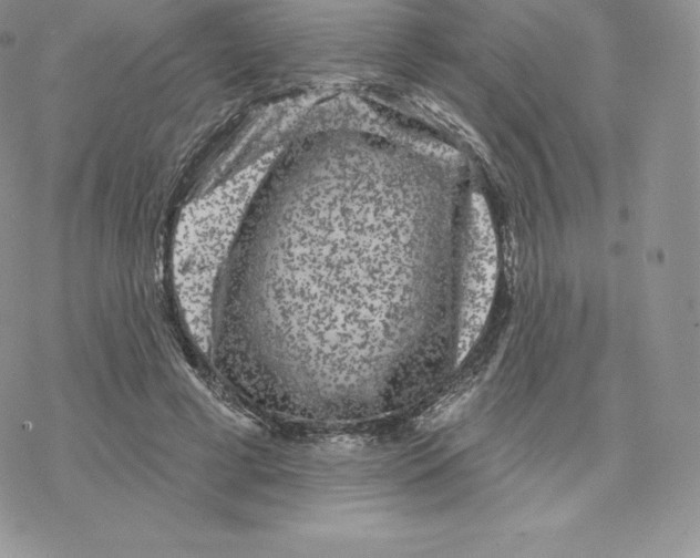 X0000077320593200611171744