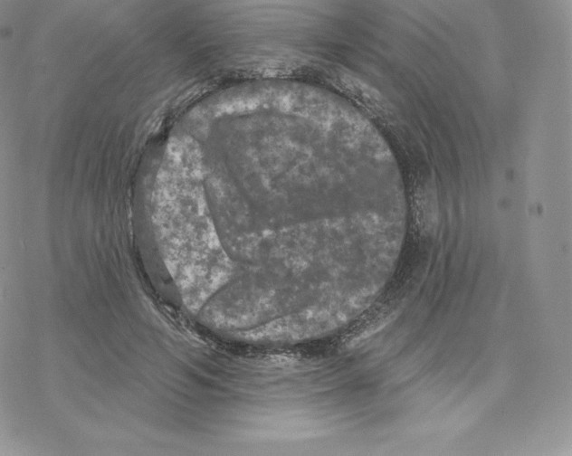 X0000077320594200611171744