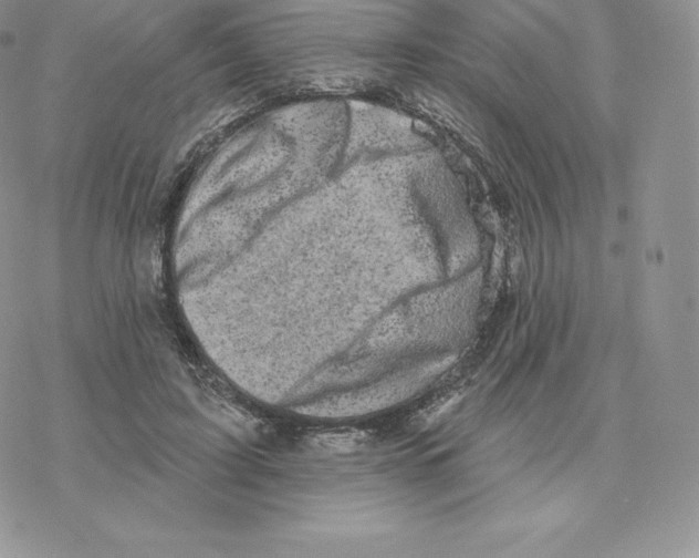 X0000077320595200611171744