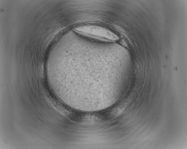 X0000077320596200611171744