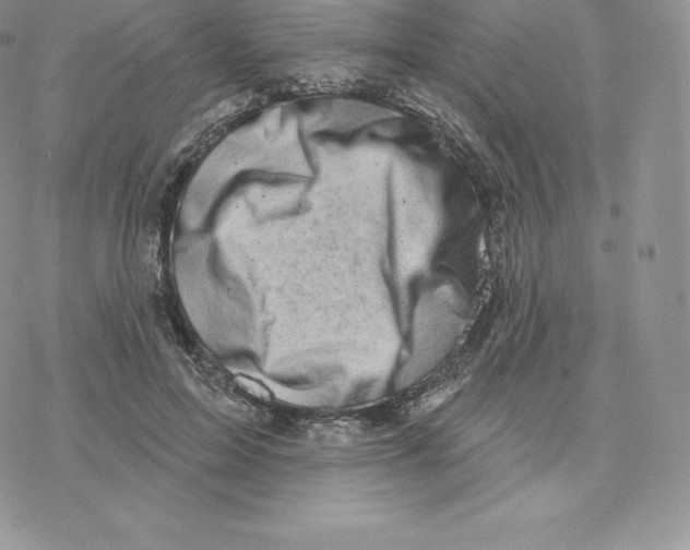 X0000077320599200611171744