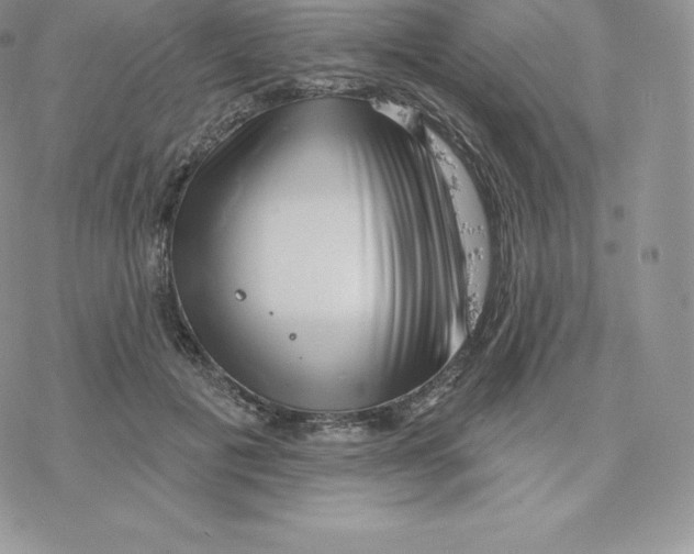 X0000077320601200611171744