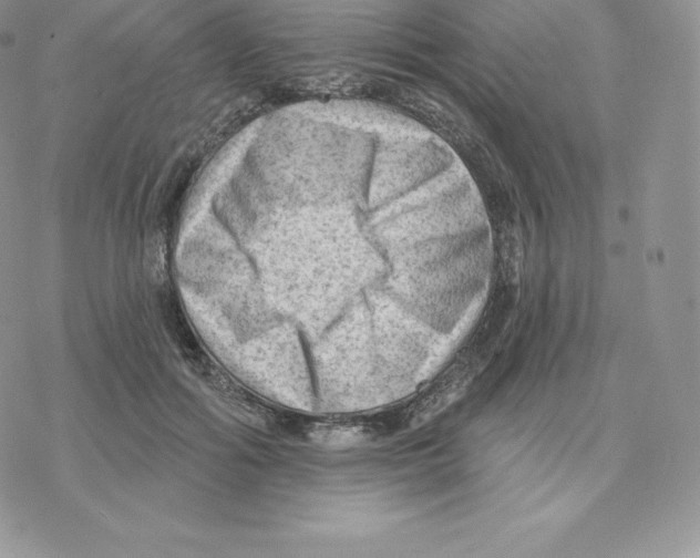 X0000077320602200611171744