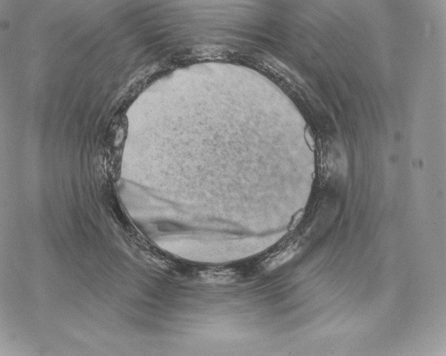 X0000077320603200611171744