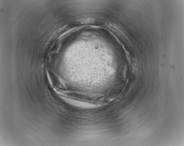 X0000077320604200611171744