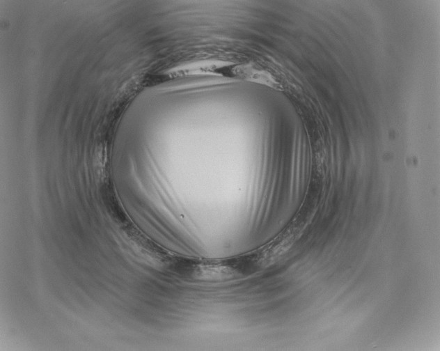 X0000077320605200611171744