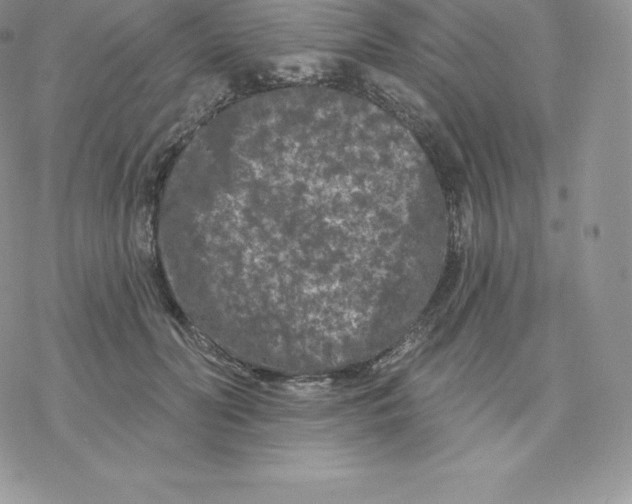 X0000077320606200611171744