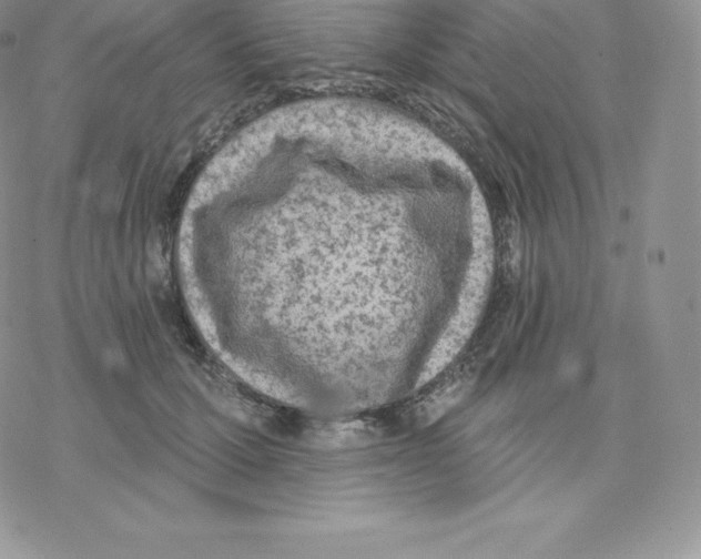 X0000077320607200611171744