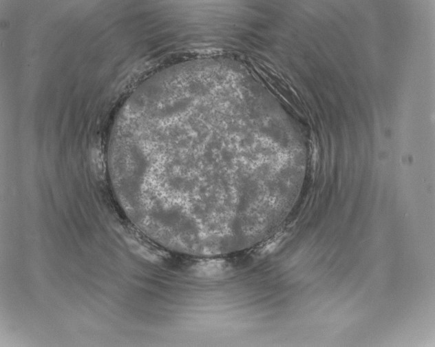 X0000077320609200611171744