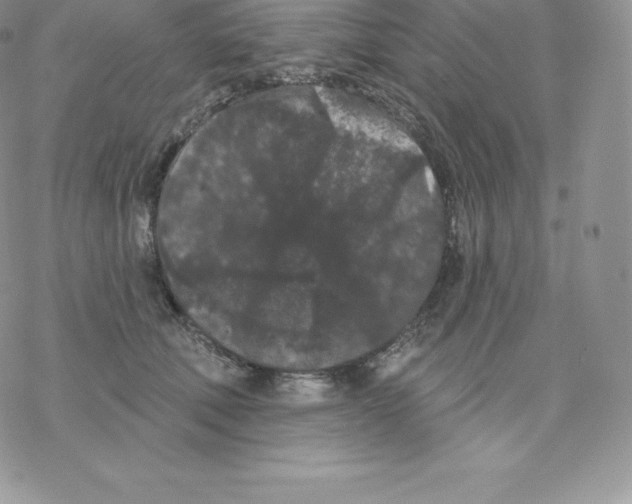 X0000077320610200611171744