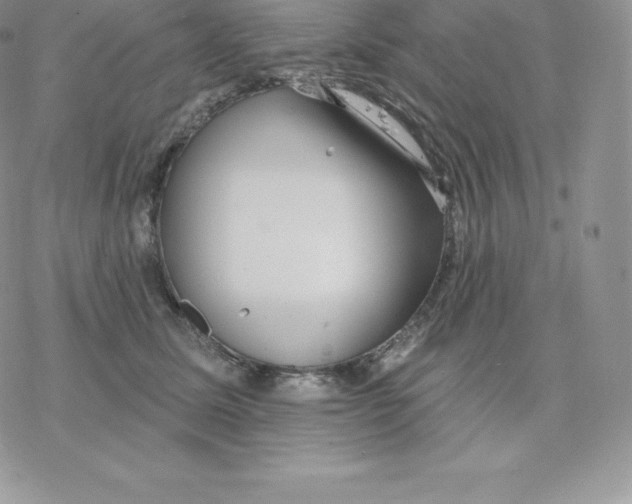 X0000077320611200611171744