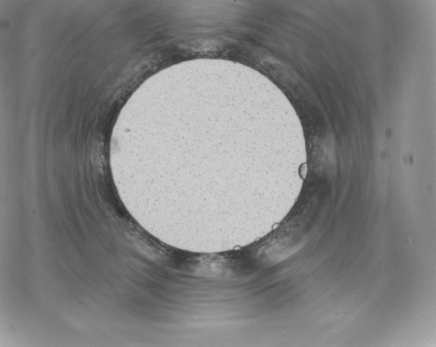 X0000077320612200611171744