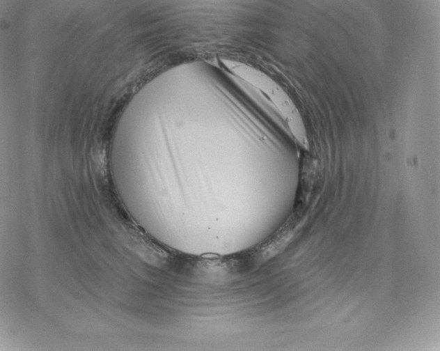 X0000077320613200611171744