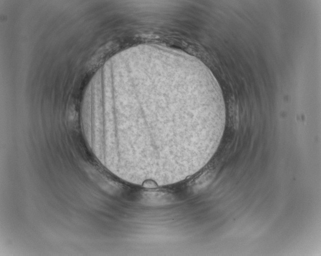 X0000077320614200611171744