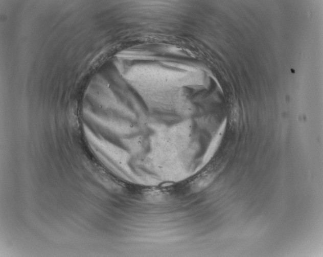 X0000077320616200611171744