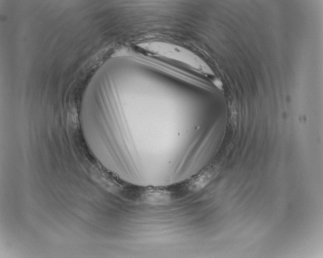 X0000077320617200611171744