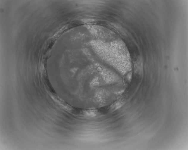 X0000077320618200611171744