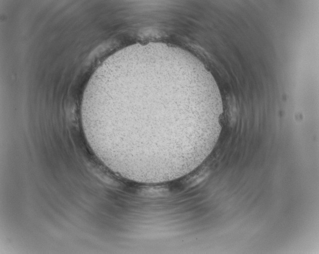 X0000077320619200611171744