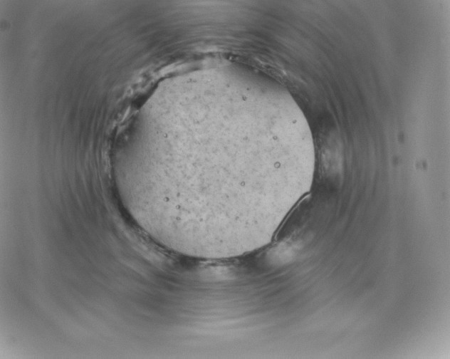 X0000077320620200611171744