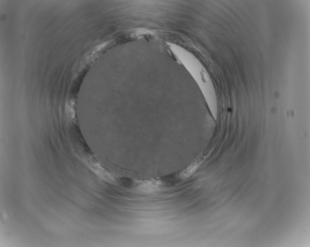 X0000077320621200611171744