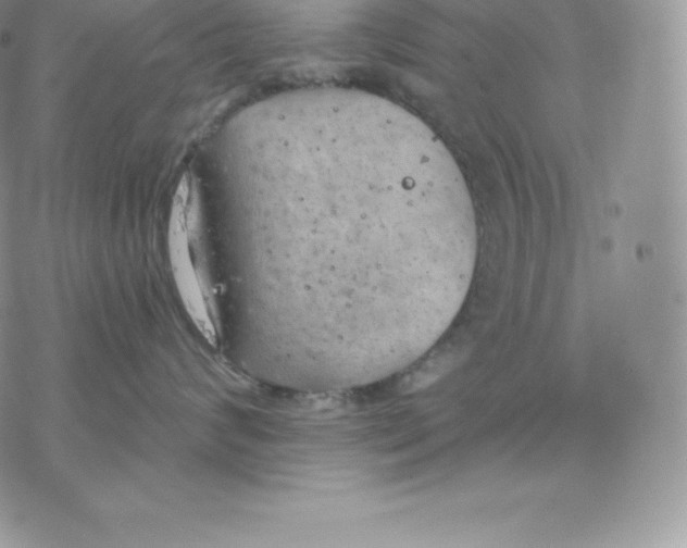 X0000077320624200611171744