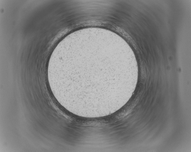 X0000077320625200611171743