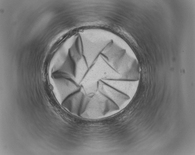 X0000077320628200611171743