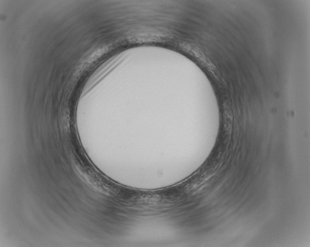 X0000077320631200611171743