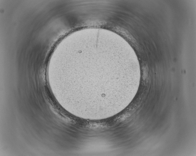 X0000077320632200611171743