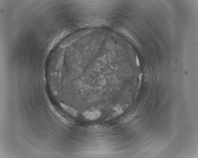 X0000077320634200611171743