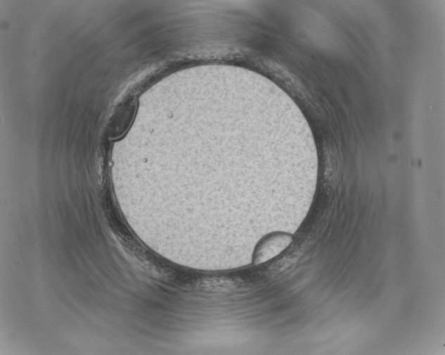 X0000077320636200611171743