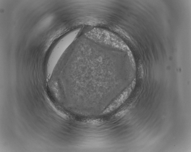 X0000077320638200611171743