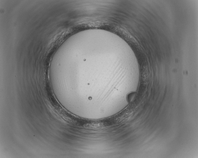 X0000077320639200611171743