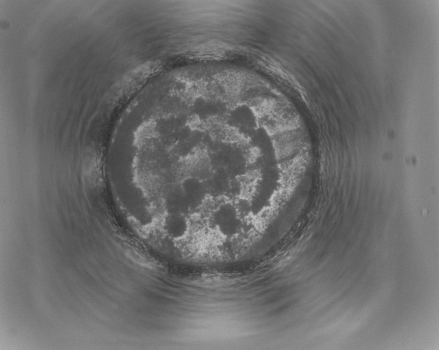 X0000077320641200611171743